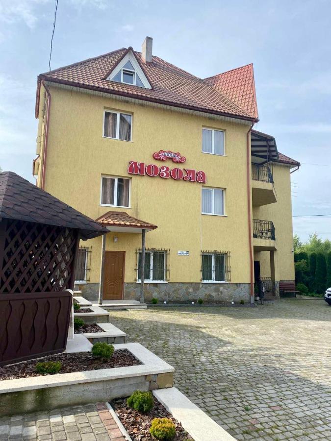 Вілла Мозола Skhidnytsia Zewnętrze zdjęcie
